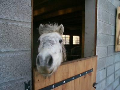 mon ptit chouchou