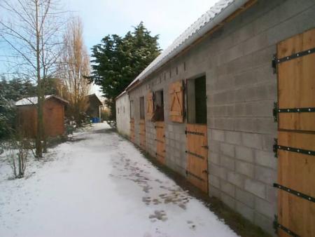l'allée du poney club